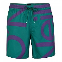 [해외]오닐 수영 반바지 Cali Zoom 137945588 Green All Over Print / Pink Purple