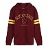 [해외]CERDA GROUP Harry Potter 후드티 15139368046 Dark Red