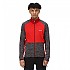 [해외]레가타 Coladane IV 플리스 5139231413 Dark Grey / China Red