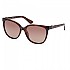 [해외]GUESS 색안경 GU7864 139474081 Dark Havana / Brown Polarized