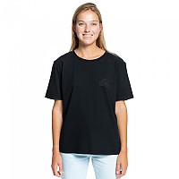 [해외]퀵실버 Standard 반팔 티셔츠 138561880 Black