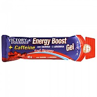 [해외]VICTORY ENDURANCE 부스트 에너지 젤 42g Red Energy 12138359275