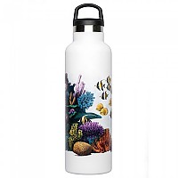 [해외]FISH TANK Reef Bottle 600ml 4137542842 Corals