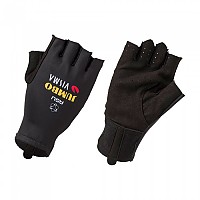 [해외]AGU 장갑 팀 Jumbo-Visma 2021 Premium 1137935521 Black