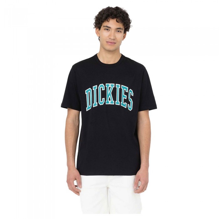 [해외]디키즈 Aitkin 티셔츠 9139549393 Black / Deep Lake