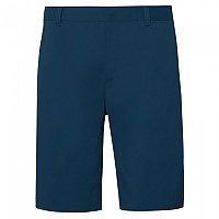 [해외]오클리 APPAREL Perf Terrain 반바지 1139487195 Oil Blue