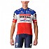 [해외]카스텔리 Competizione French Champion Soudal Quick-Step 2023 반팔 저지 1139746220 French Dark Blue