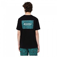 [해외]디키즈 Clackamas Box 반팔 티셔츠 139549433 Black