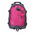 [해외]ALTUS G30 Ski Mountain 27L 배낭 4139758424 Grey / Purple