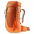 [해외]도이터 Futura 26L 배낭 4139851671 Chestnut / Mandarine