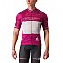 [해외]카스텔리 #Giro106 Competizione 반팔 저지 1139725260 Pink / White