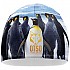 [해외]OTSO 비니 4137914857 Penguins