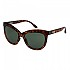 [해외]록시 편광 선글라스 Palm 14139638796 Tortoise Brown / Green Plz