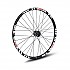 [해외]GTR SL35 29´´ CL Disc Tubeless MTB 앞바퀴 1139698842 Black / White