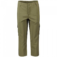 [해외]컬럼비아 Silver Ridge Utility™ 모자ri Cargo 바지 4139835052 Stone Green