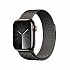 [해외]APPLE Series 9 GPS+Cellular 41 mm watch 4140371239 Graphite / Steel Milanese
