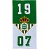 [해외]REAL BETIS 수건 3140367482 Green / White