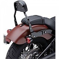 [해외]COBRA 등받이 Harley Davidson FXLR 1750 ABS 20 602-2029B 9138844070 Black / Silver