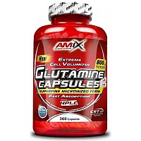 [해외]AMIX Glutamina 360 단위 6139573563 White