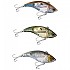 [해외]시마노 FISHING Bantman Undulator Slow Floating Lipless Crankbait 17g 88 mm 8139324478 4