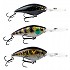 [해외]시마노 FISHING Yasei Cover Crank F DR crankbait 70 mm 8139959454 Perch