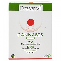 [해외]DRASANVI 캡슐 Cannabis PEA 36 6138825828 White