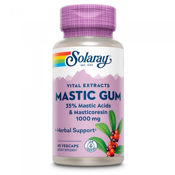 [해외]SOLARAY Mastic Gum 500mgr 45 단위 4138063630 Pink