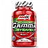 [해외]AMIX 천연 동화캡슐 Gamma Oryzanol 120 단위 3140606780