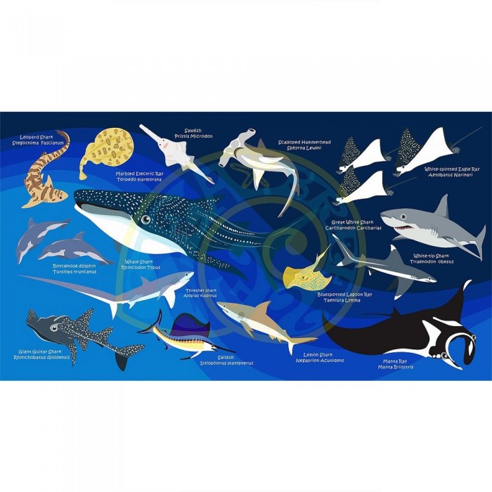 [해외]오셔나리움 수건 Sharks & Rays L 12137681026 Dark Blue / Multicolor
