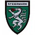 [해외]CLAWGEAR 쉴드 패치 Steiermark 14140892778 Multicolor