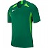 [해외]나이키 Dri Fit Striker V 반팔 티셔츠 15138252602 Pine Green / Action Green / White