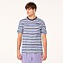 [해외]오클리 APPAREL Blurrred Stripes 반팔 티셔츠 7140222984 Blurred Stripe Mc