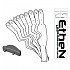 [해외]ETHEN 05/Ares 박리 스트립 교체 + 어큐뮬레이터 10 단위 9141045484 Clear
