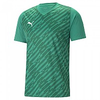 [해외]푸마 팀 Ultimate 반팔 티셔츠 3140978955 Green