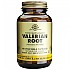 [해외]SOLGAR Valerian Root 100 Units 12138036364 Brown