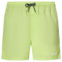 [해외]오클리 APPAREL Beach Volley 16´´ 수영복 14140752859 Light Green