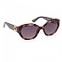 [해외]GUESS 색안경 GU00104 140805577 Coloured Havana / Gradient Smoke