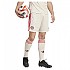 [해외]아디다스 FC Bayern Munich 3 Stripes 24/25 세 번째 반바지 3141015864 Linen S17