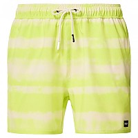 [해외]오클리 APPAREL Blur Stripes RC 16´´ 수영복 140752864 Blurred Stripe Light Green