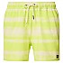 [해외]오클리 APPAREL Blur Stripes RC 16´´ 수영복 140752864 Blurred Stripe Light Green