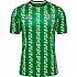 [해외]험멜 Real Betis 24/25 경기용 반팔 티셔츠 3141131098 Fern Green / White