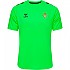 [해외]험멜 Real Betis 24/25 PRO25 반팔 티셔츠 3141131113 Green Gecko