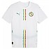 [해외]푸마 Senegal Replica Home 반팔 티셔츠 3141362483 White / Sport Green